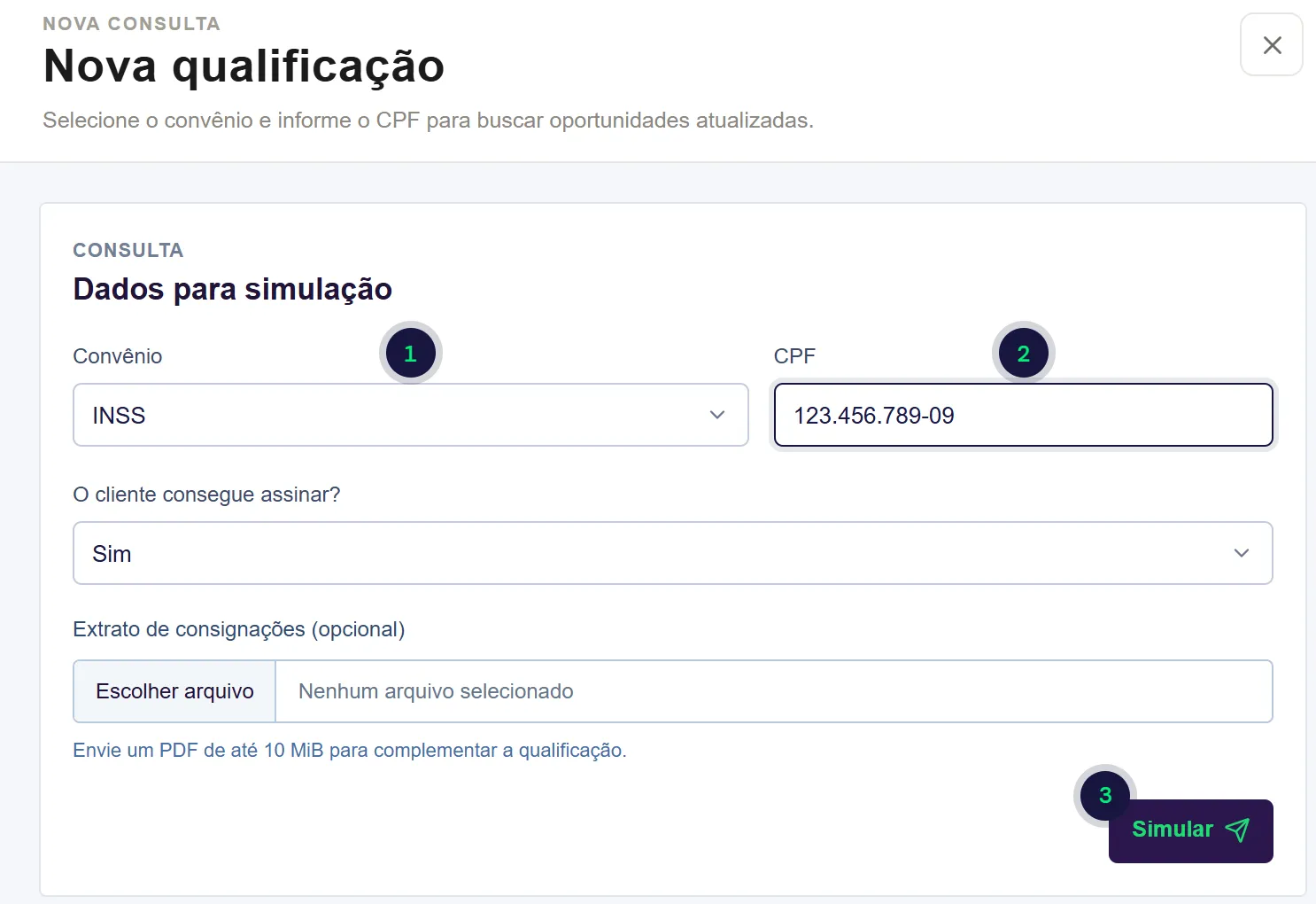 Painel Nova qualificação com convênio INSS e CPF preenchidos